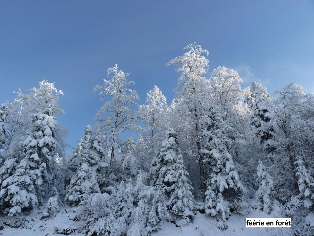Le Chalet Bel Air Oderen Dış mekan fotoğraf