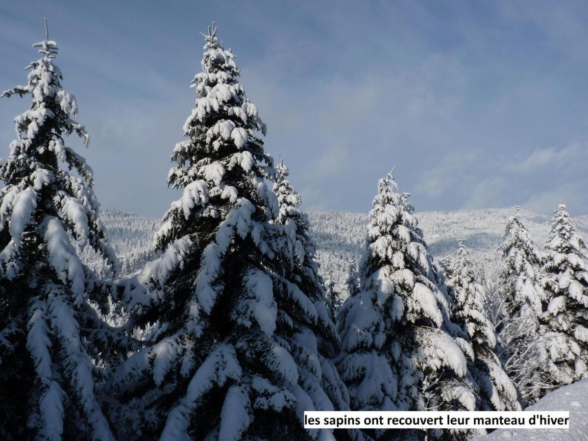 Le Chalet Bel Air Oderen Dış mekan fotoğraf