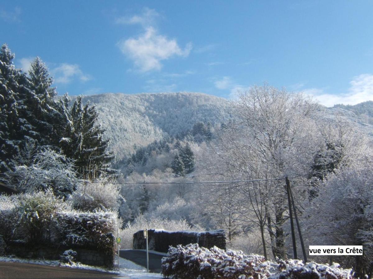 Le Chalet Bel Air Oderen Dış mekan fotoğraf