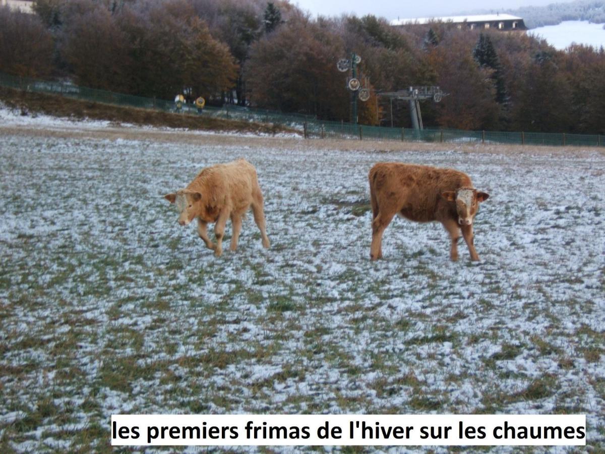 Le Chalet Bel Air Oderen Dış mekan fotoğraf