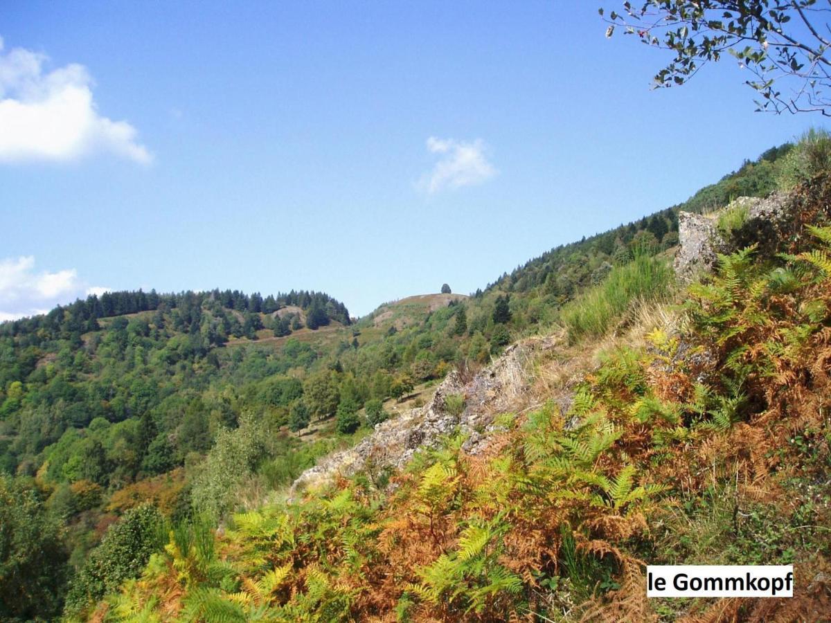 Le Chalet Bel Air Oderen Dış mekan fotoğraf