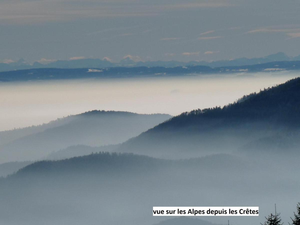 Le Chalet Bel Air Oderen Dış mekan fotoğraf