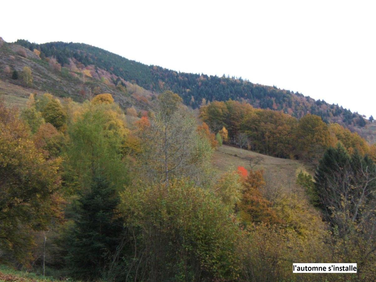 Le Chalet Bel Air Oderen Dış mekan fotoğraf
